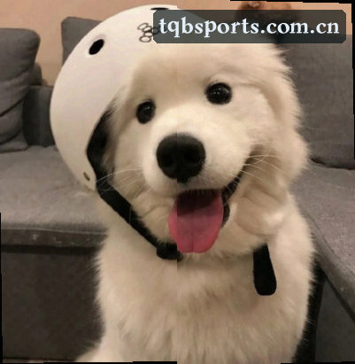 吴涛